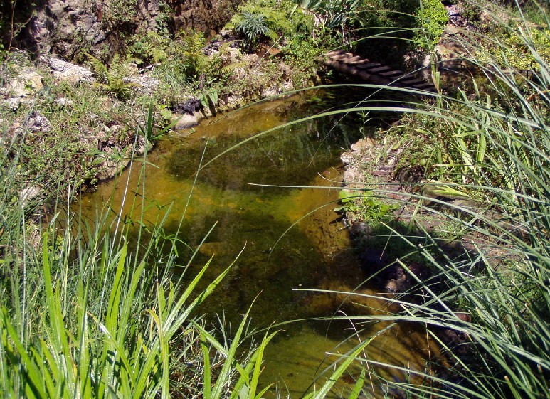 Il Laghetto del Centro di Entomologia - Piombino (LI)